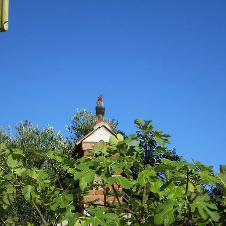Di Gallo Apartment