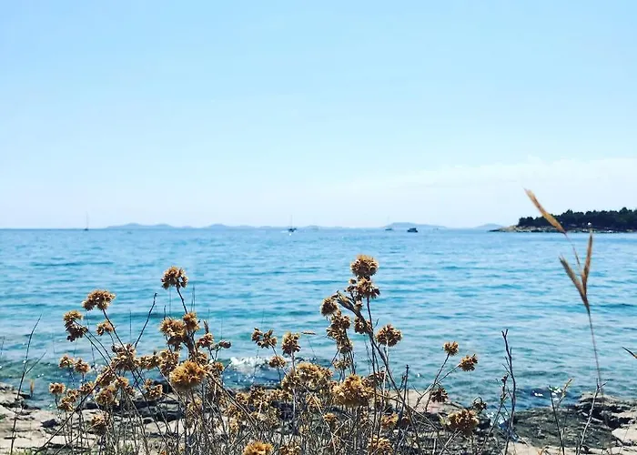 Di Gallo شقة يزيرا